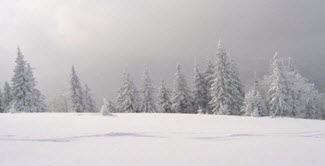 image of snow storm in Hudson County, NY