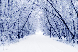 winter outlook