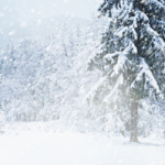 winter storm preparation